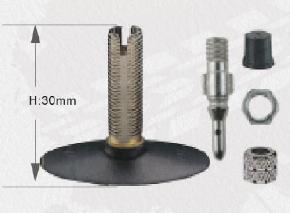 ITEM:EV01