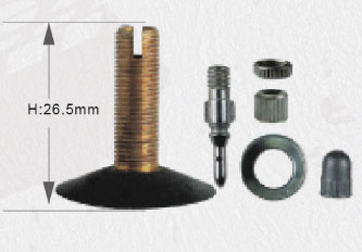ITEM:EV02