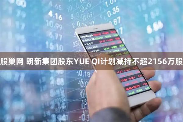 股巢网 朗新集团股东YUE QI计划减持不超2156万股