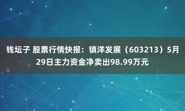 钱坛子 股票行情快报：镇洋发展（603213）5月29日主力资金净卖出98.99万元